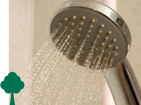 A shower head