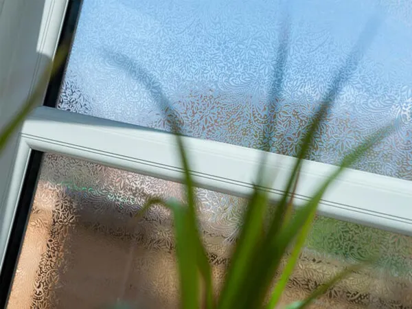 Privacy Glass Windows